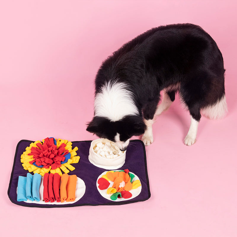 SniffQuest Mat — Snuffle Foraging Mat